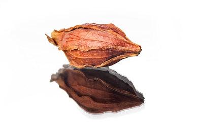 科乐美概述《eFootball》更新计划 大师联赛要等到2023年